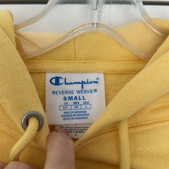 NWOT Champion | Urban Outfitters Exclusive Colorblock Hoodie Sweatshirt - Picture 8 of 9